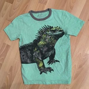 Crewcuts boys top size 12